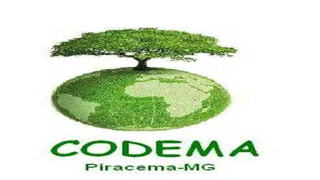 CODEMA INFORMA: